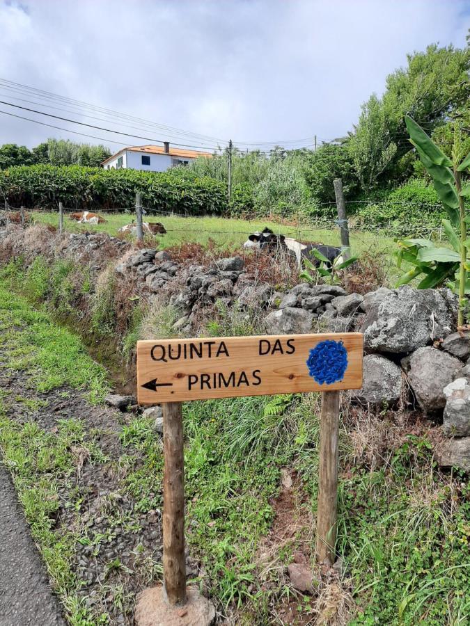 Quinta Das Primas Lomba  외부 사진